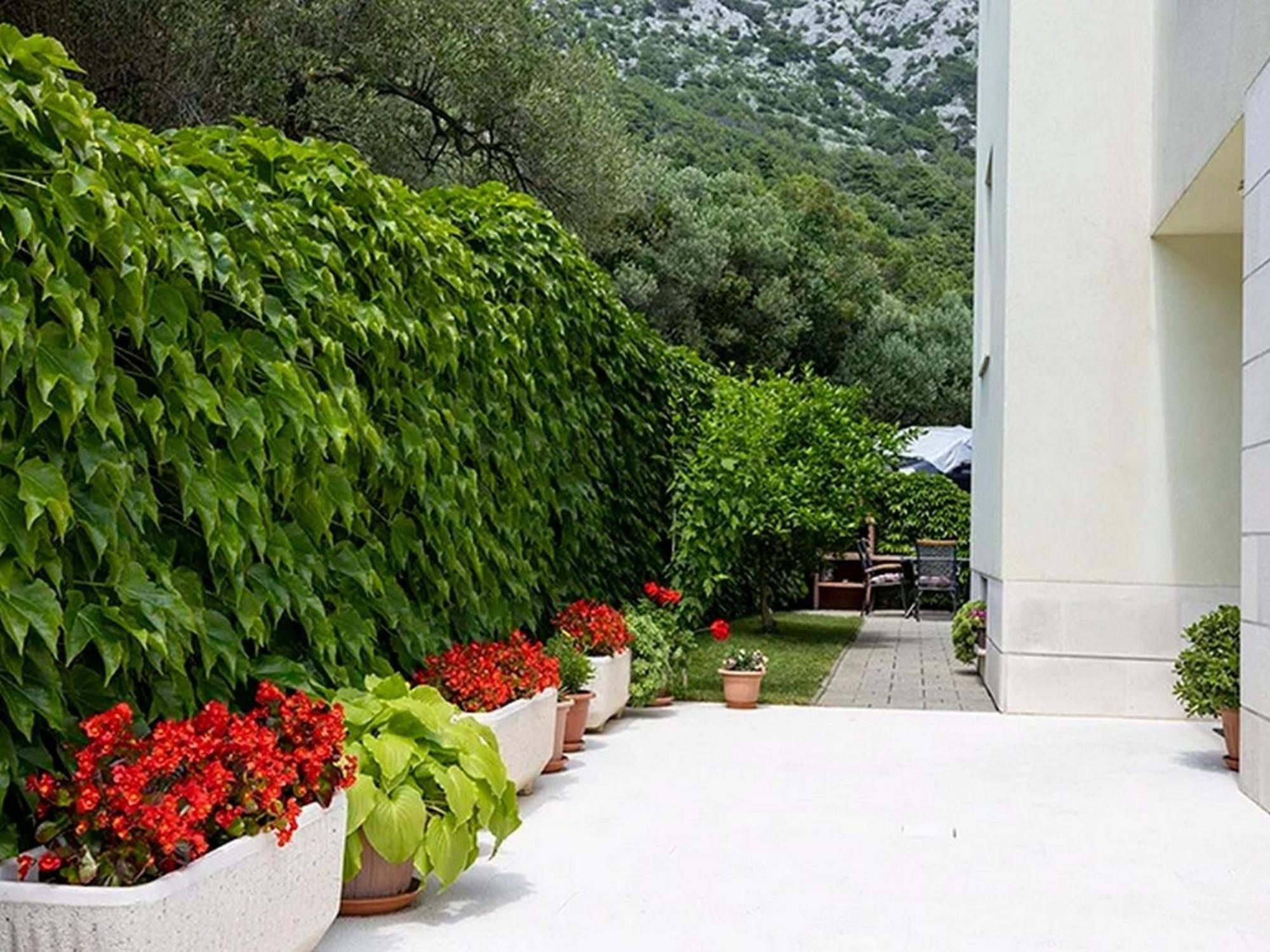 Apartments By The Sea Igrane, Makarska - 17292 Exterior foto